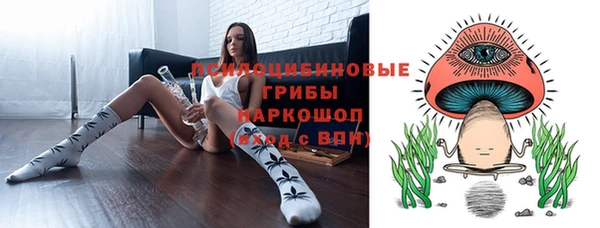 ПСИЛОЦИБИНОВЫЕ ГРИБЫ Володарск