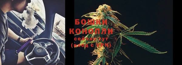 амф Вязьма