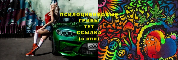 ПСИЛОЦИБИНОВЫЕ ГРИБЫ Володарск