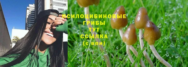амф Вязьма