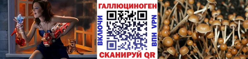 Псилоцибиновые грибы Cubensis  где найти   Мостовской 